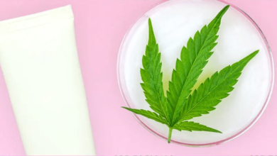 How Long Does Cbd Cream Last