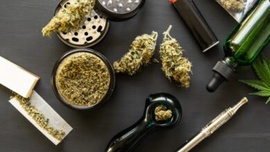 How to Choose a Reliable Cannabis Seed Shop